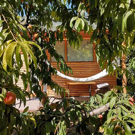 Relax Eaza - Casa Cu Hamac Villa Constanţa Exteriör bild