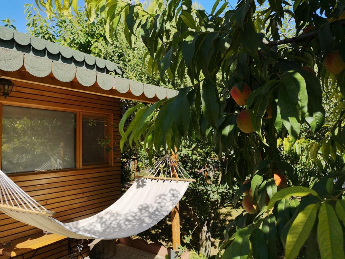 Relax Eaza - Casa Cu Hamac Villa Constanţa Exteriör bild