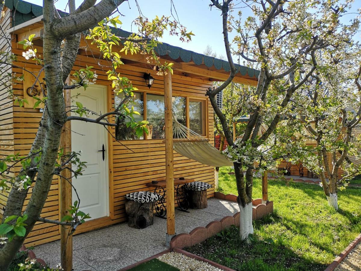 Relax Eaza - Casa Cu Hamac Villa Constanţa Exteriör bild